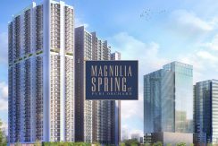 magnolia-1