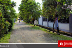 gang wonodadi 3 kotabaru