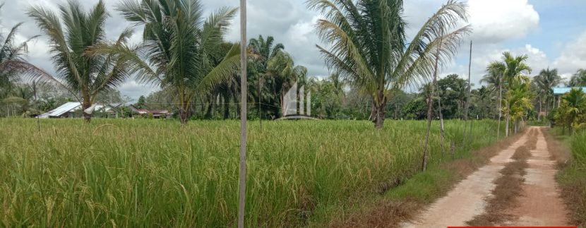TANAH DUSUN MULYO REJO