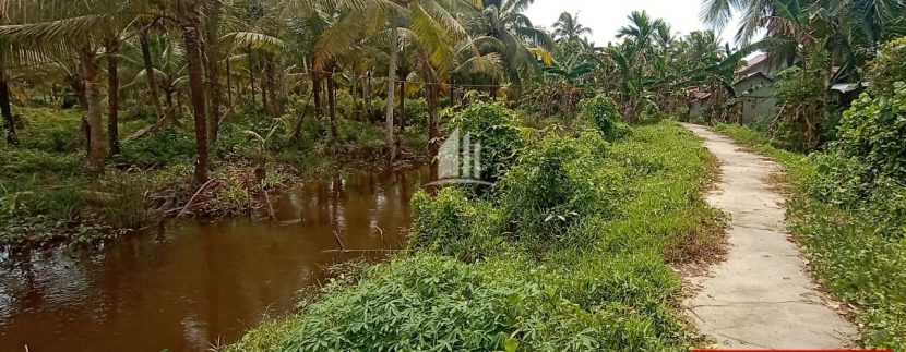 dusun merak