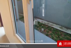 dazz pekarangan belakang