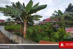 tanah dijual di sui jawi