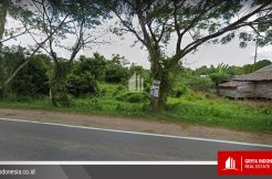 Tanah dijual di Jl. Trans Kalimantan