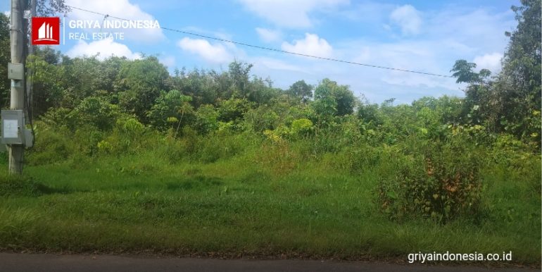 Web Tanah Angkasa Pura Yohan_20240514_082348_0001