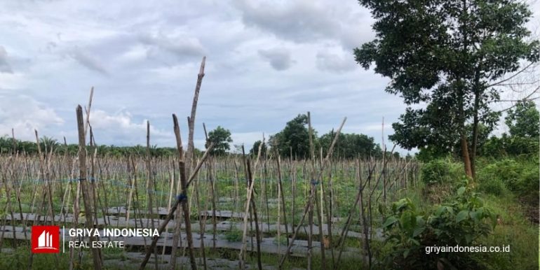 Tanah Dijual Sekunder C_20240628_174343_0001