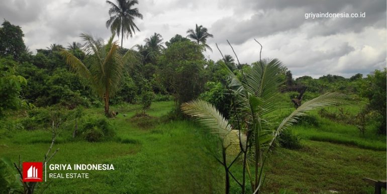 Web Tanah Panglima Aim_20241214_130220_0001